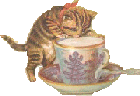 a kitten lapping milk from a teacup
