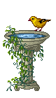 a bird on an enchanted birdbath