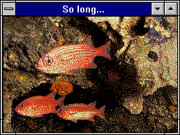 digital fish in a digital aquarium
